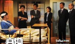 真相粤语在线观看,揭秘背后真相，在线观看一探究竟